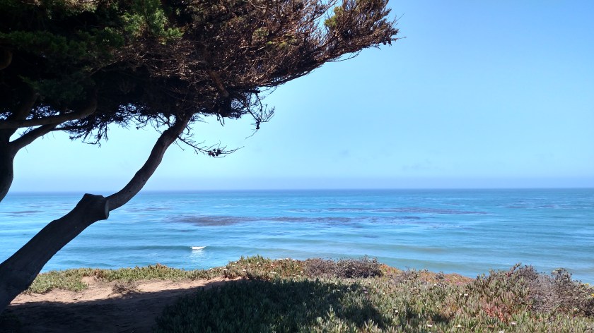 IMG_20180614_114603414_HDR