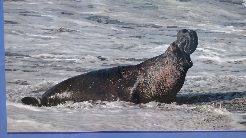 IMG_20180614_123156359