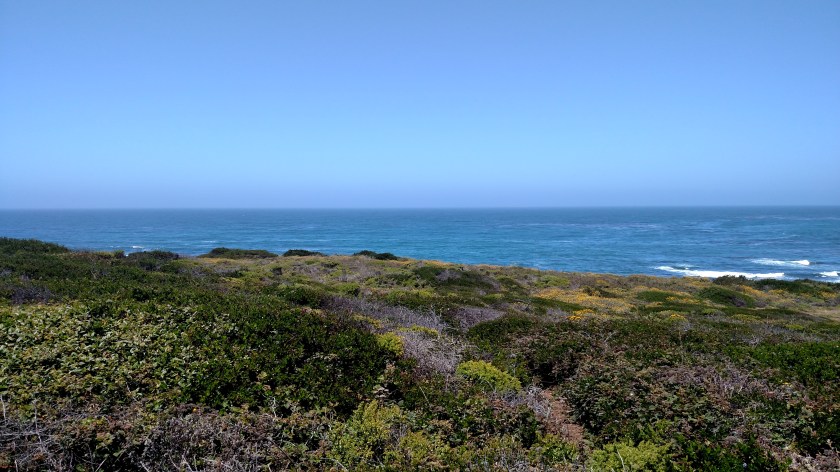 IMG_20180614_125958040