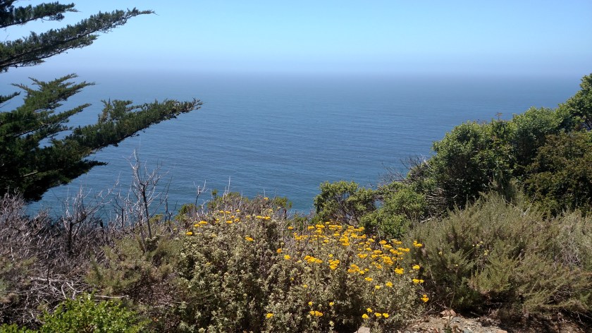 IMG_20180614_134054655