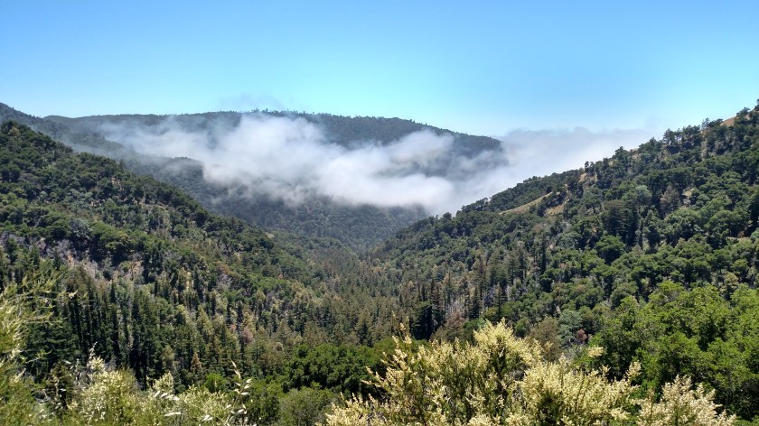 IMG_20180615_132158556_HDR