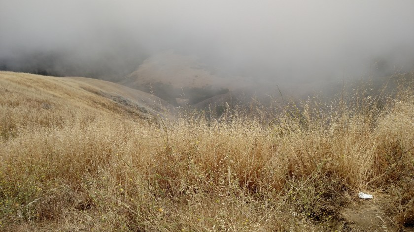 IMG_20180615_132729772