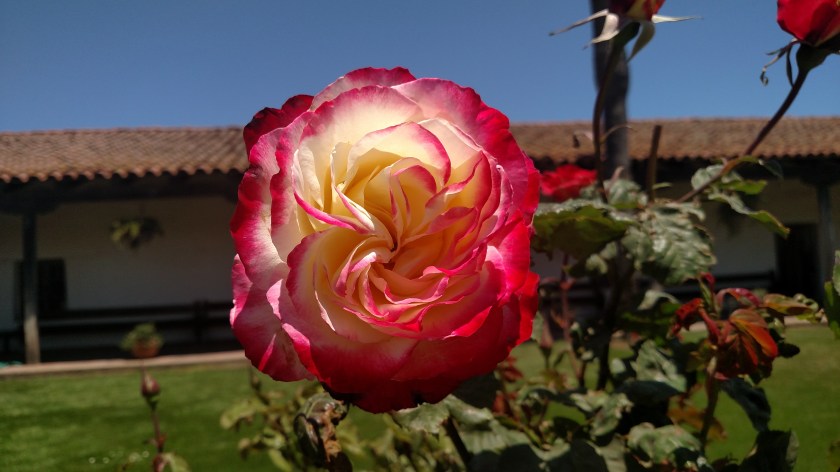 IMG_20180616_124728404