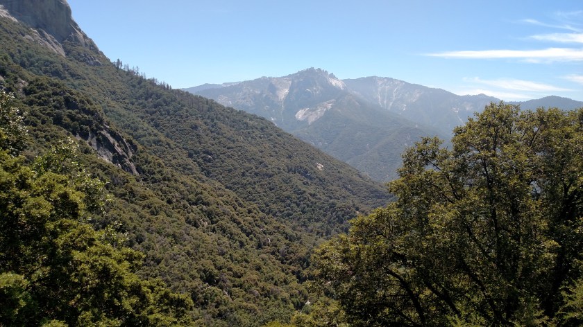 IMG_20180618_115610237