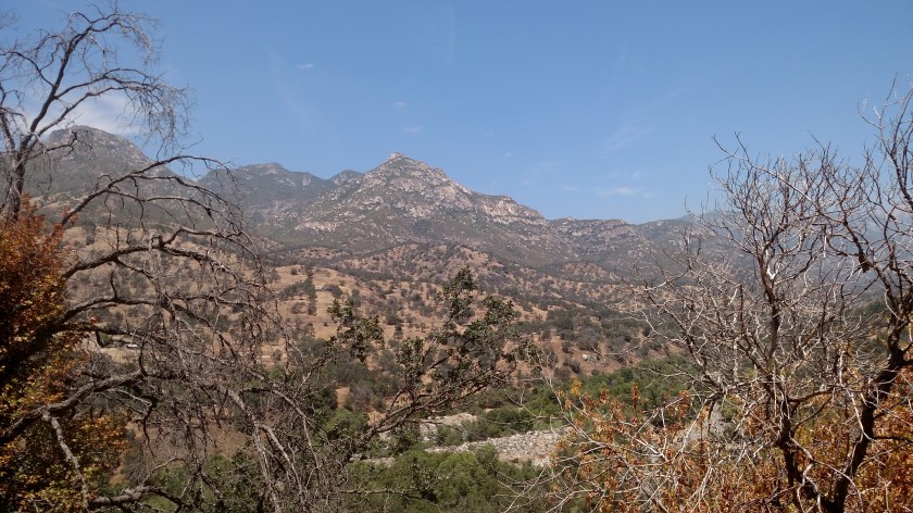 IMG_20180618_133721658