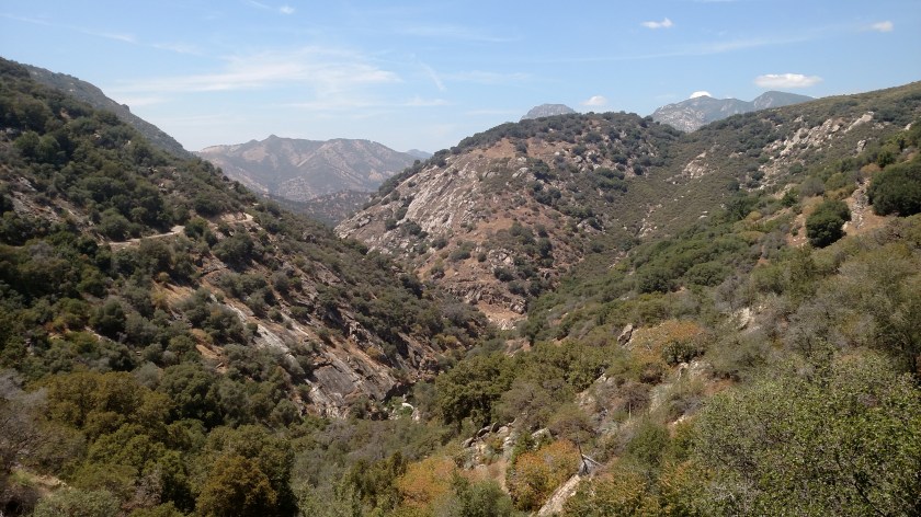 IMG_20180618_135646517