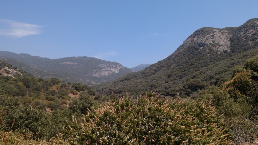 IMG_20180618_135858832