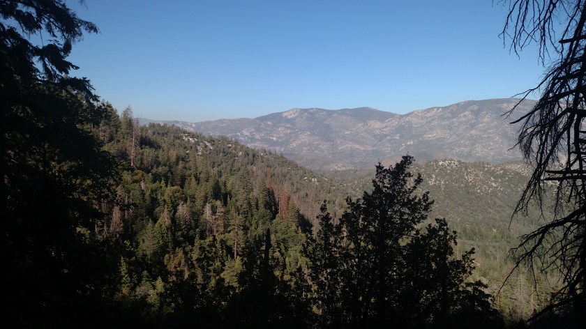 IMG_20180618_173718377