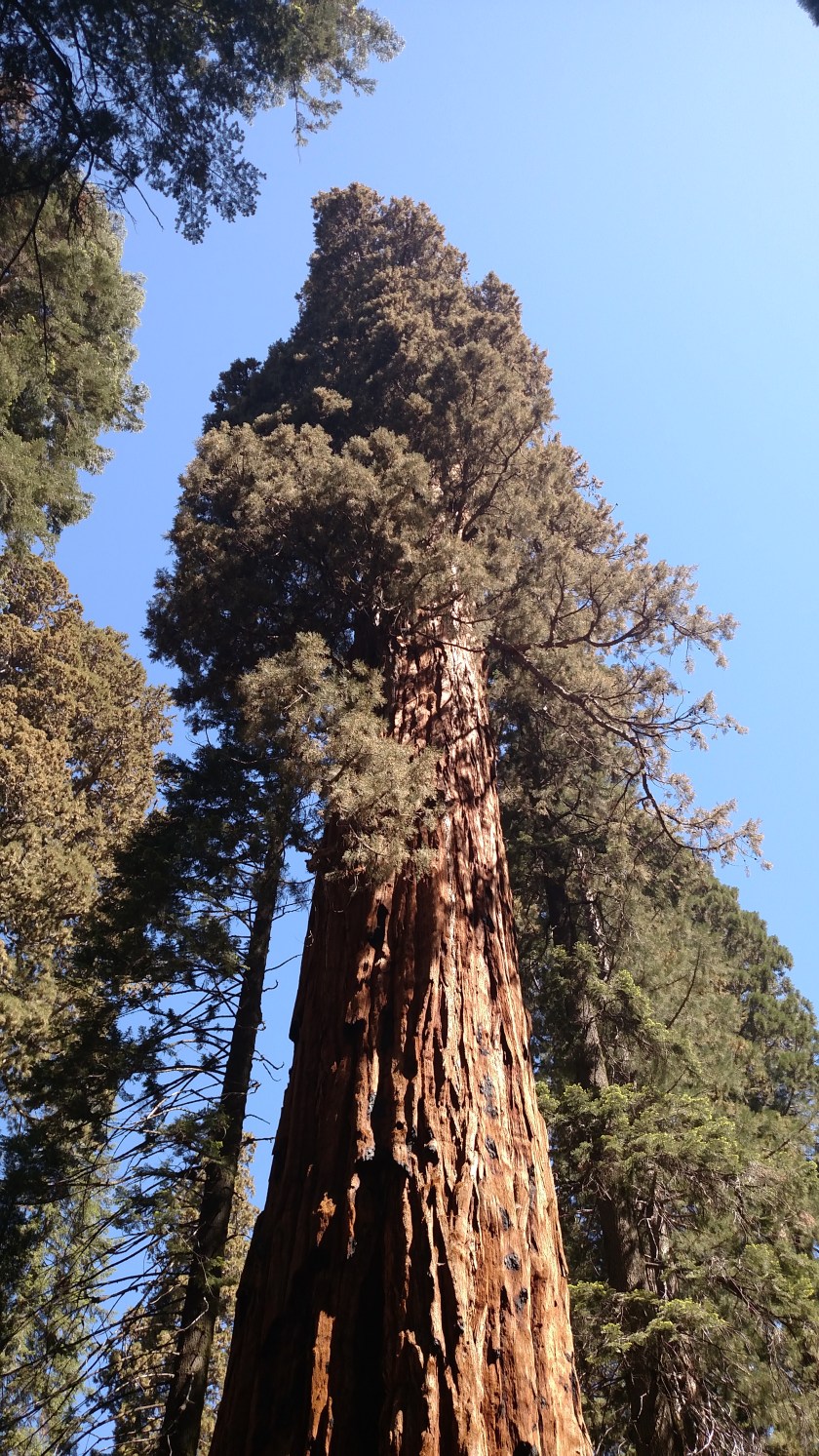 IMG_20180619_104224061