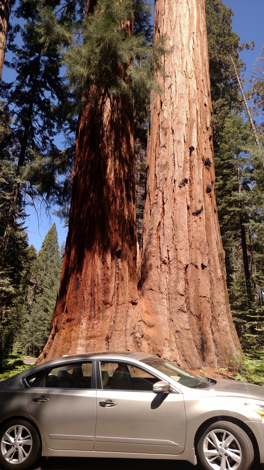 IMG_20180619_105612009