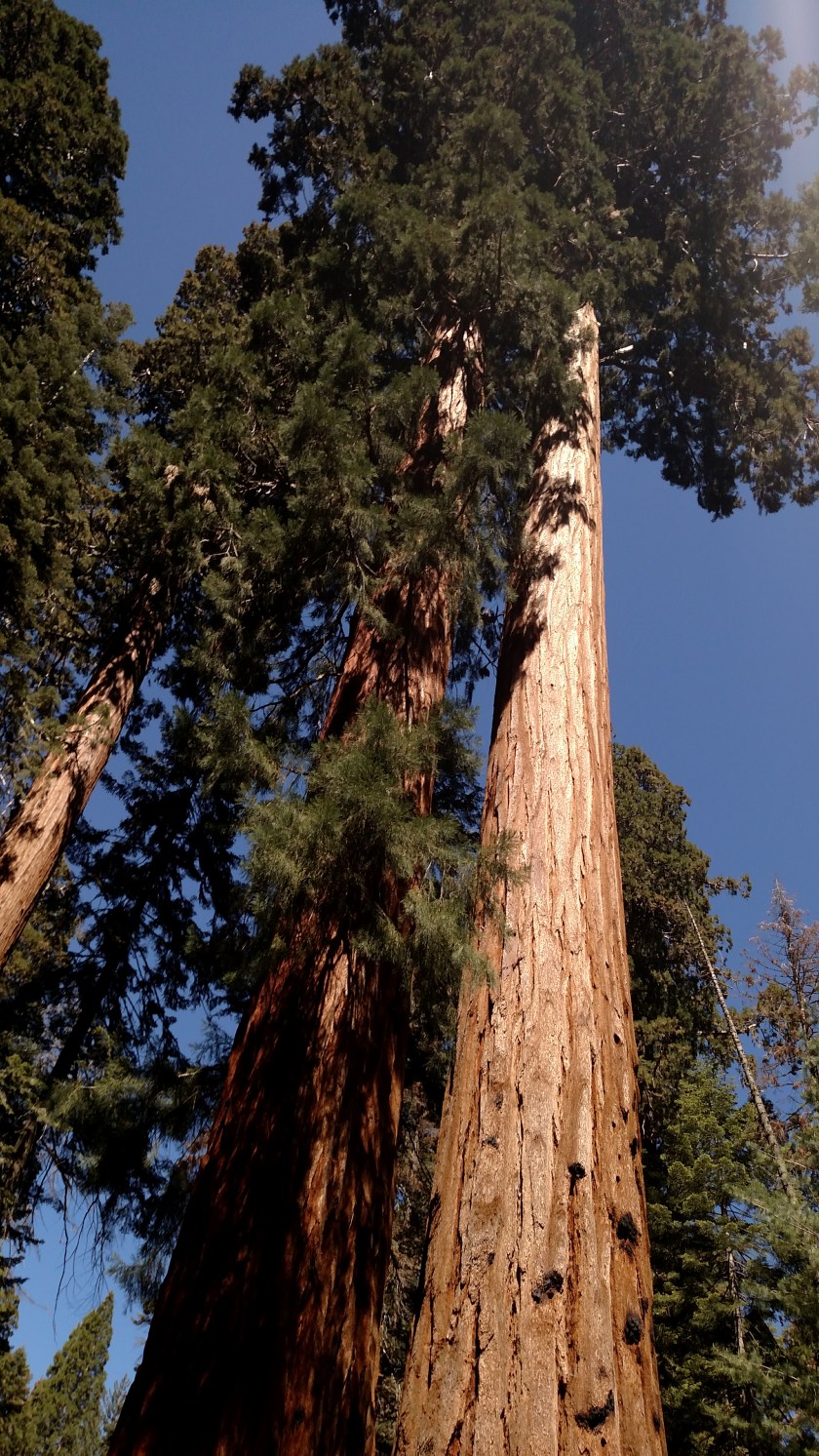 IMG_20180619_105624578