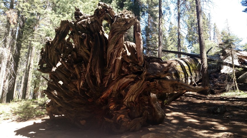 IMG_20180619_105802527