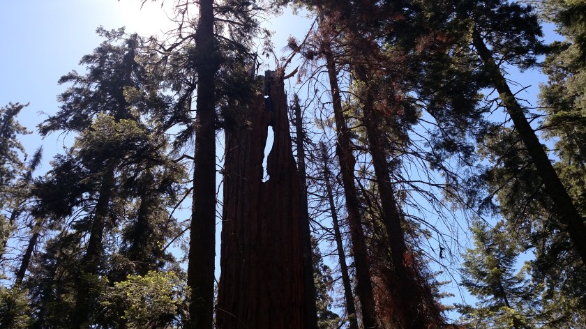 IMG_20180619_110031467