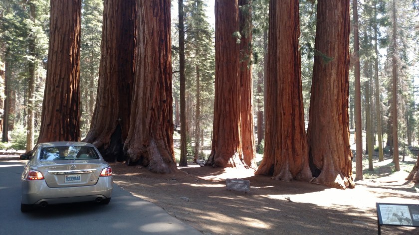 IMG_20180619_110711503