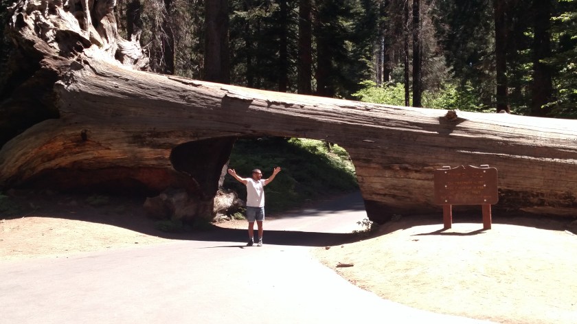 IMG_20180619_110949790