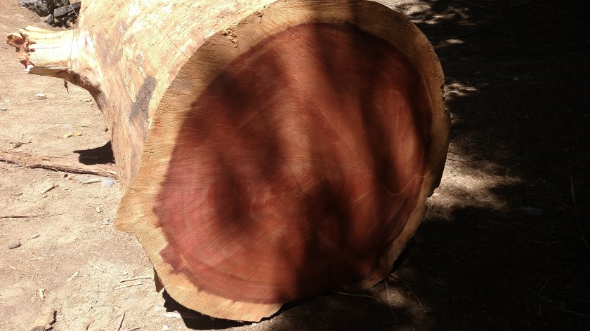 IMG_20180619_111821143