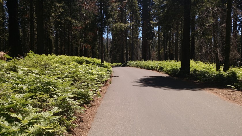 IMG_20180619_112237005