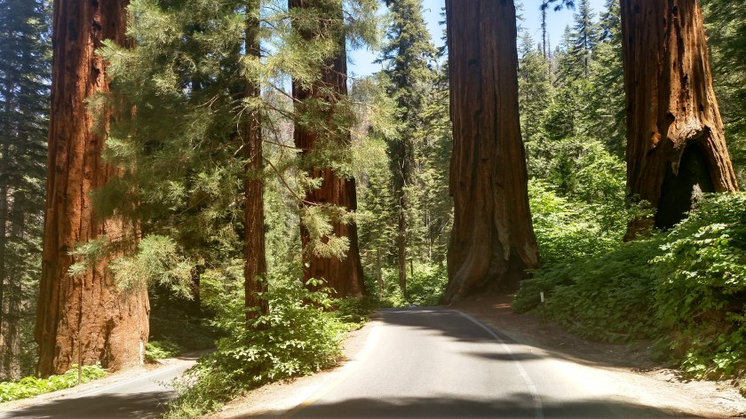 IMG_20180619_124726717_HDR