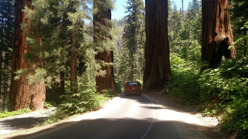 IMG_20180619_124829402