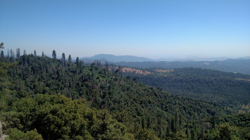 IMG_20180619_152914417