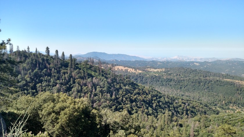 IMG_20180620_091631032_HDR