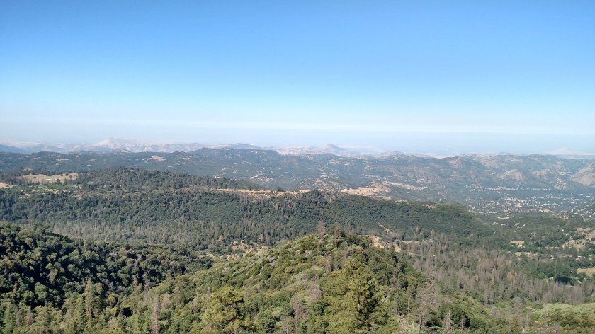 IMG_20180620_091635744_HDR