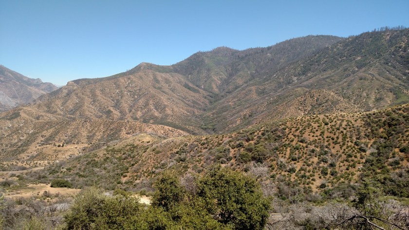 IMG_20180620_150559556