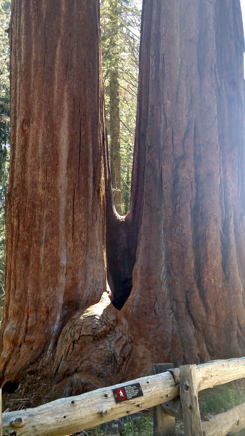 IMG_20180620_154521102_HDR