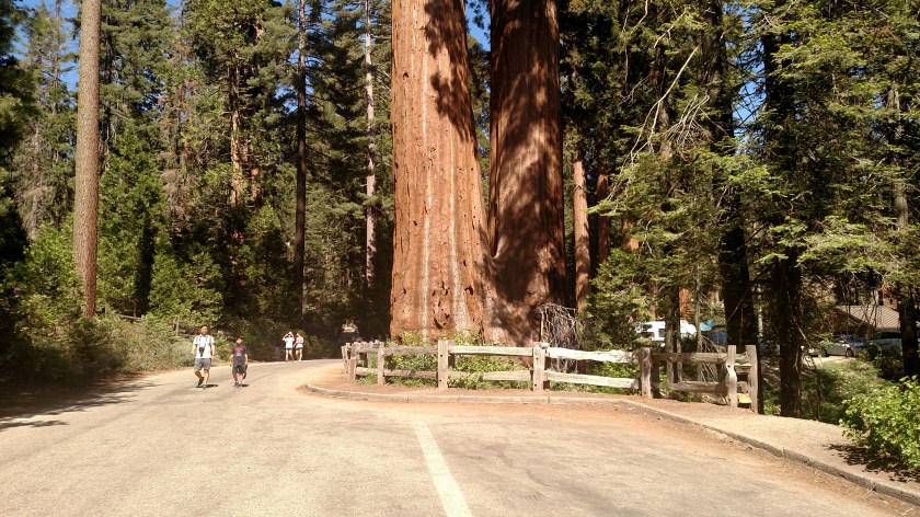 IMG_20180620_154655564