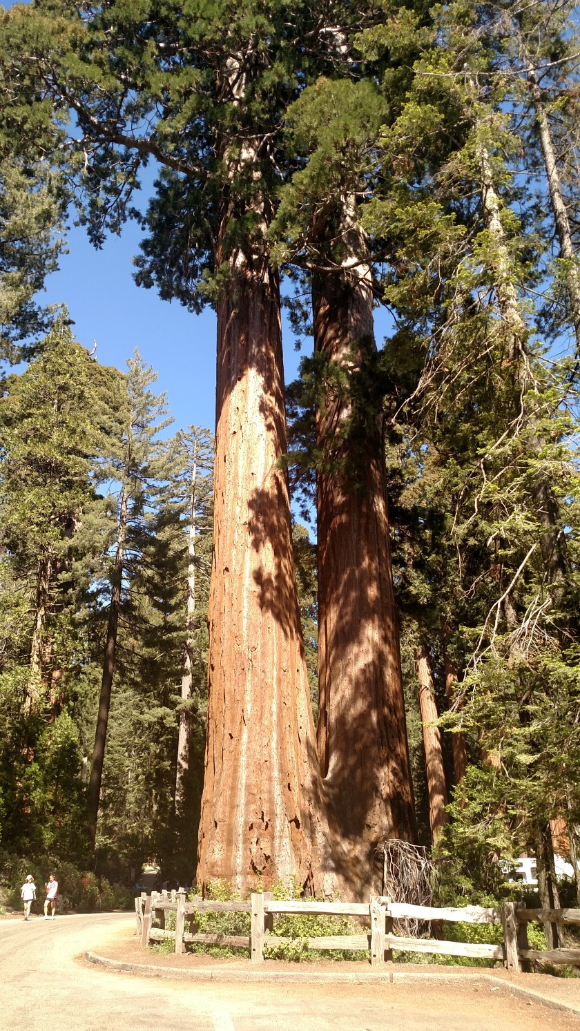 IMG_20180620_154700430