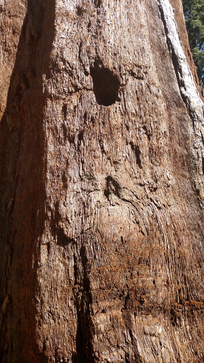 IMG_20180620_154755053