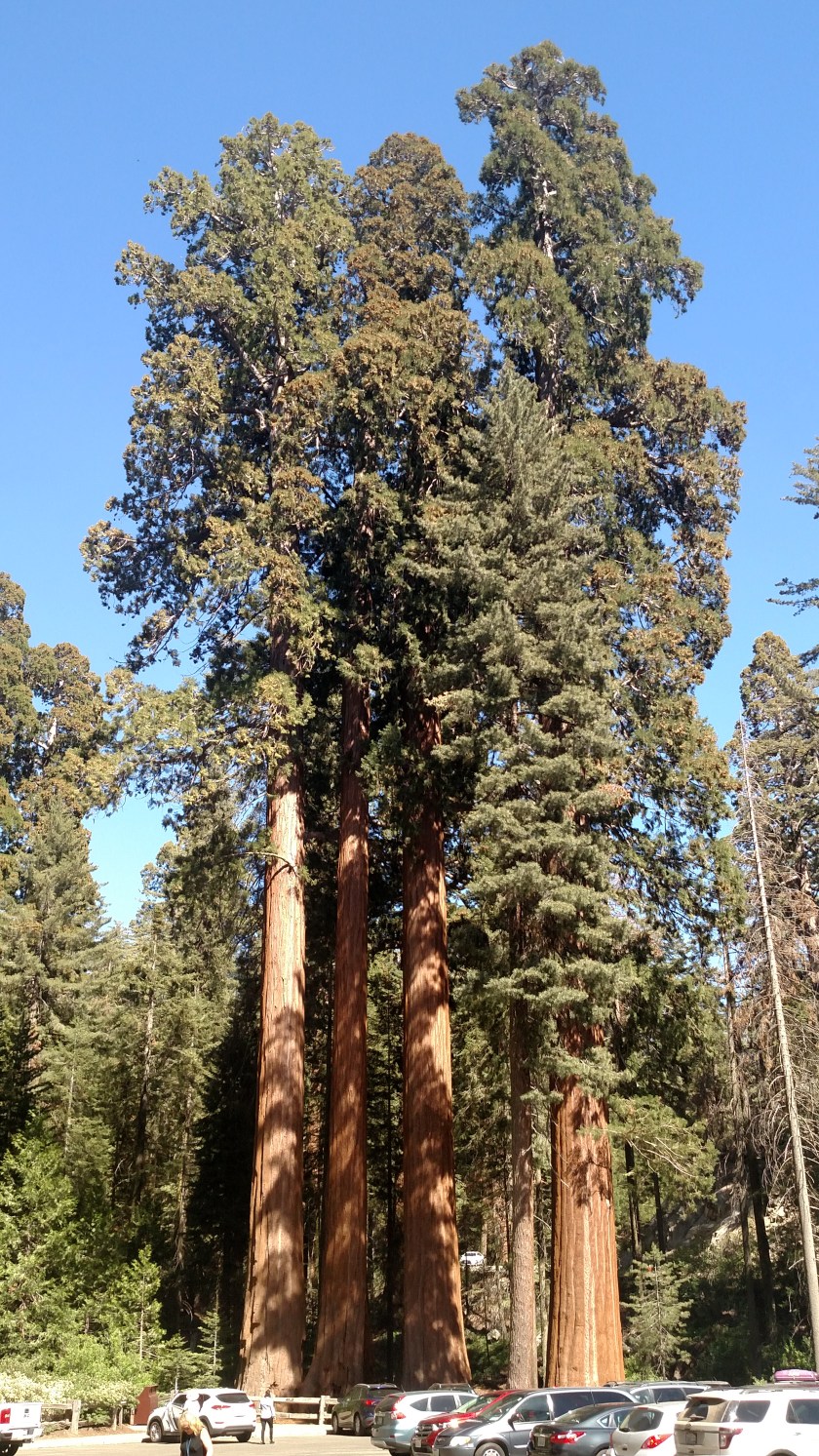 IMG_20180620_154859209