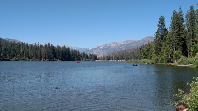 IMG_20180620_161351128