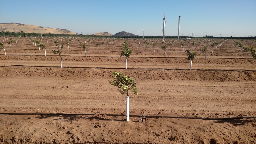 IMG_20180620_172651793