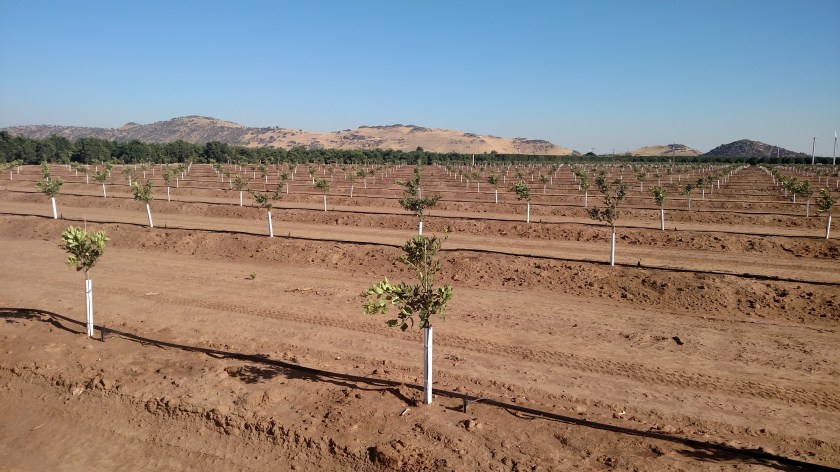 IMG_20180620_172701125