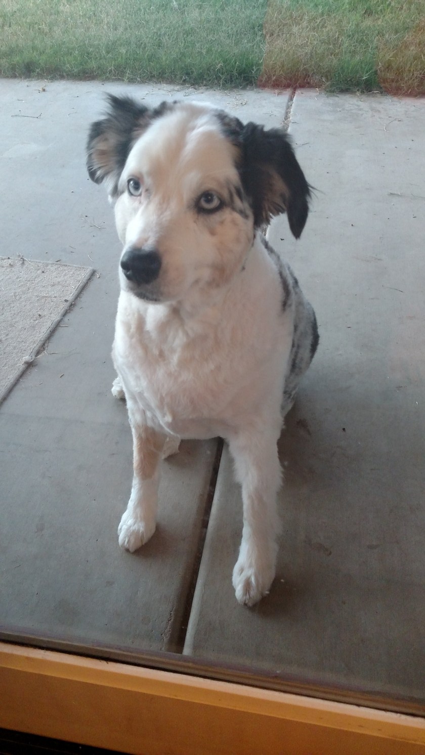 IMG_20180621_054921403