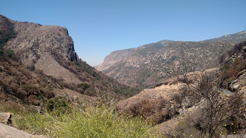 IMG_20180622_110715820