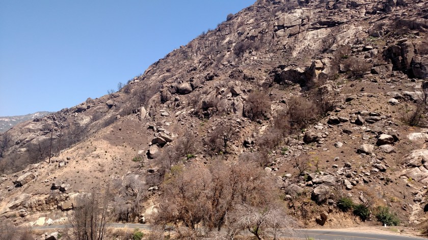 IMG_20180622_110738908