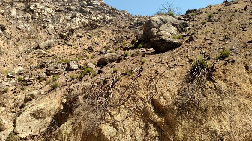 IMG_20180622_110938854