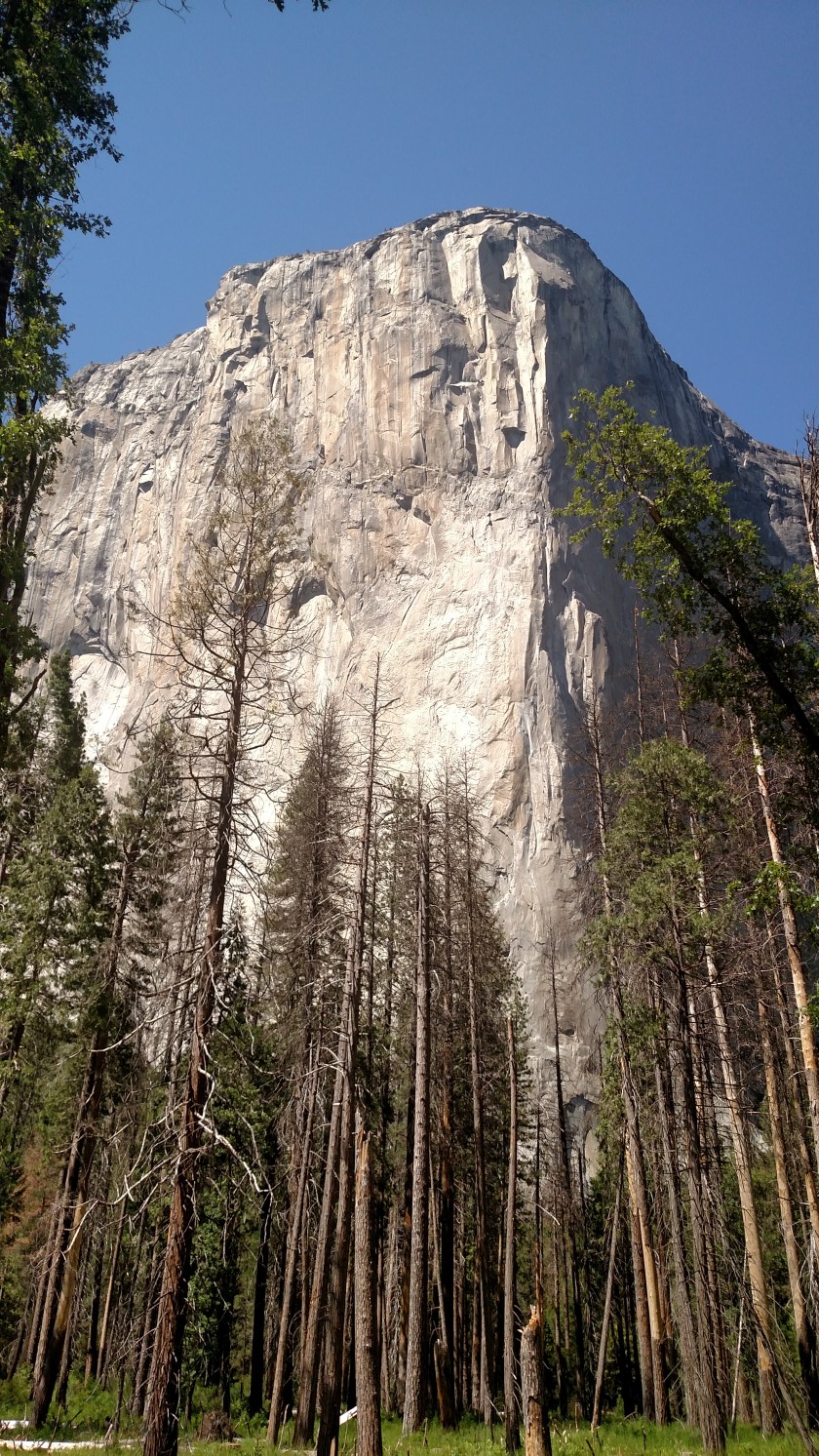 IMG_20180623_150203858