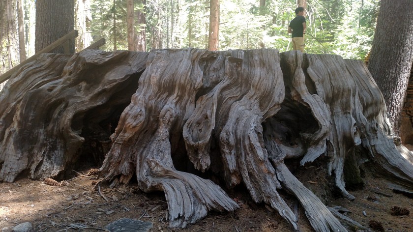 IMG_20180624_122109010