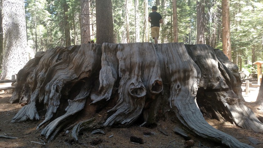 IMG_20180624_122121053