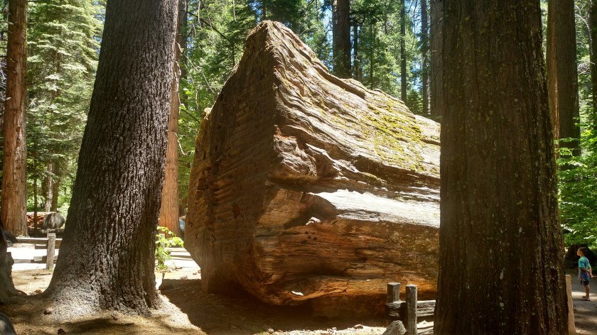 IMG_20180624_122140329_HDR