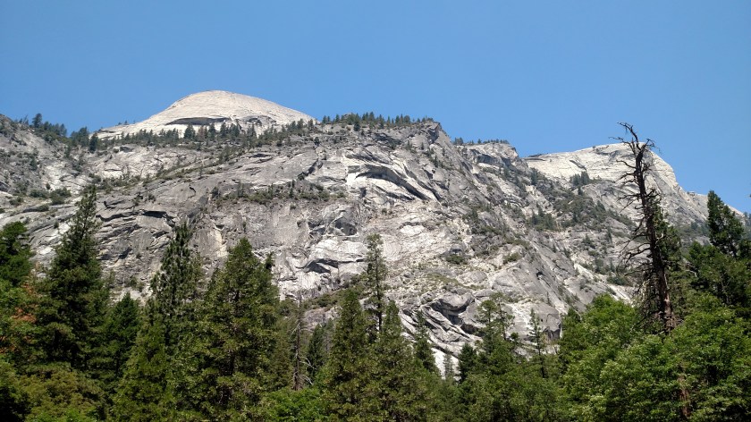 IMG_20180625_120337833