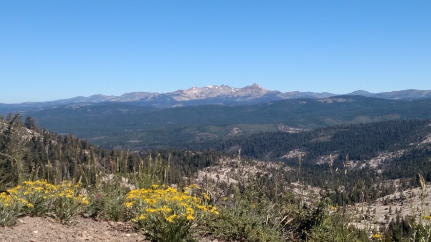 IMG_20180626_104048989