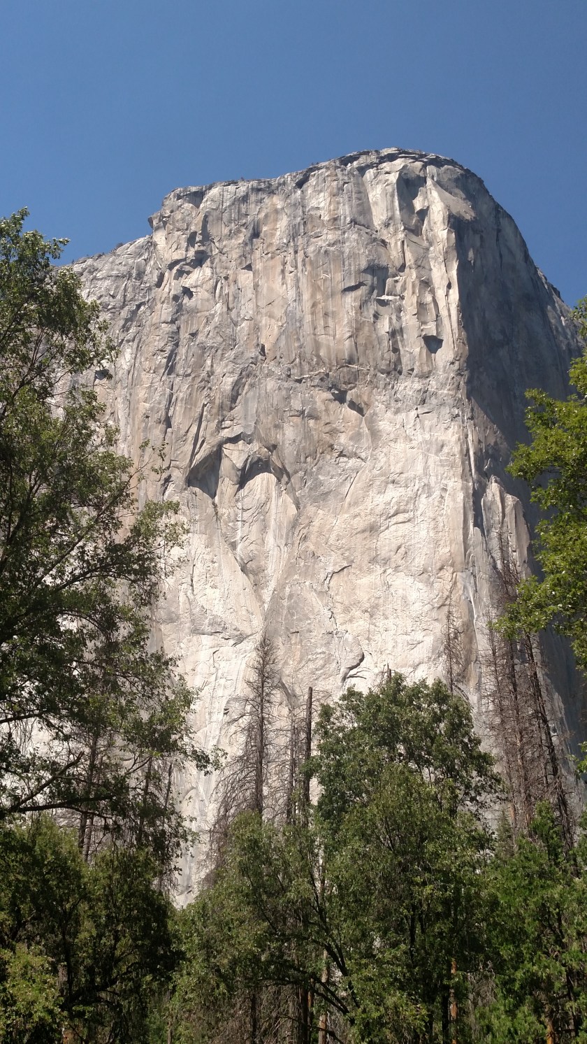 IMG_20180627_143754778