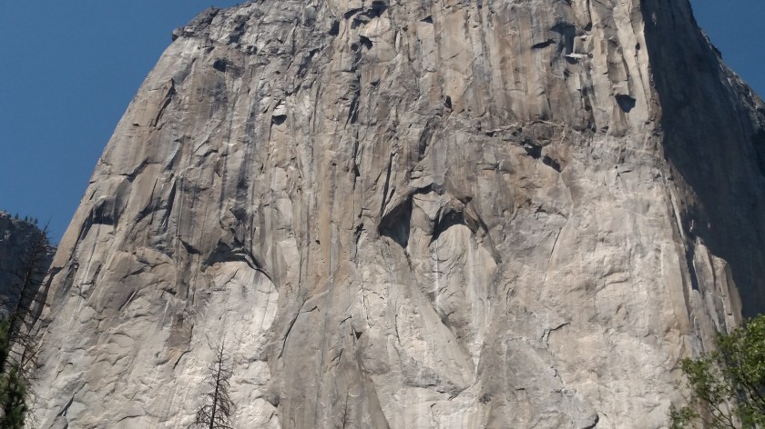 IMG_20180627_144017743