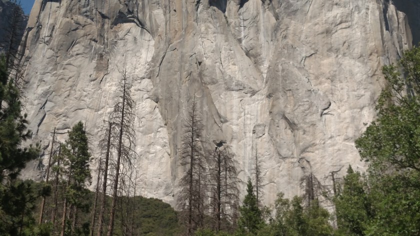 IMG_20180627_144020796