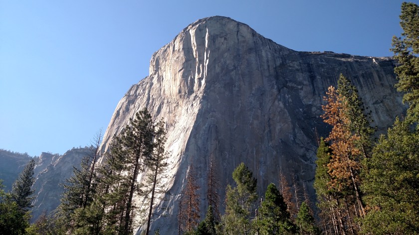 IMG_20180627_165647808