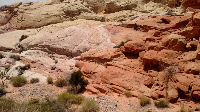 IMG_20180602_125617681